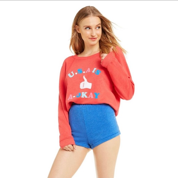 🔥WILDFOX🔥U.S.A. IS A-OKAY Sommers Sweater Rare July 4th Patriotic Top XS NWT - Picture 2 of 8